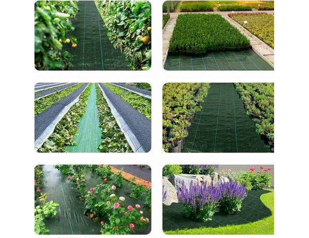 Telo pacciamatura verde antiradice antialga per erbacce orto agritela 1x100...
