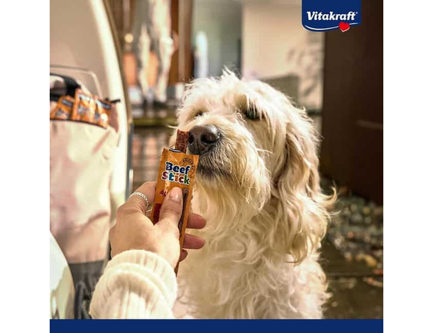 Vitakraft Beef Stick di manzo pesce alimento per cani cane 50 Bastoncini da...