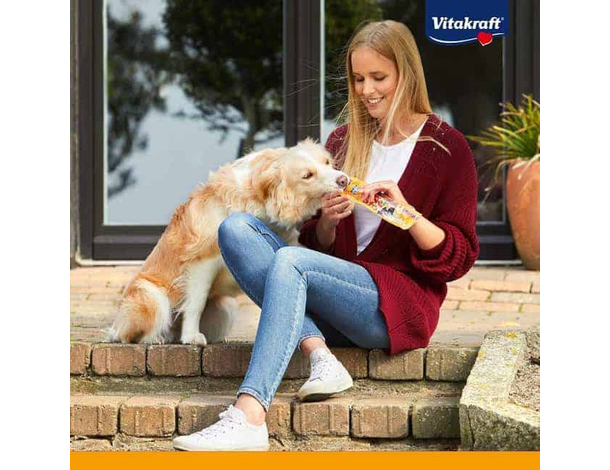 Fish Stick per cani bastoncini al pesce senza zuccheri con omega-6 salmone o...