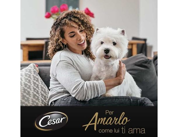 Cesar Selezioni dell'Orto Cibo per Cani con manzo e verdure 14 Vaschette da...