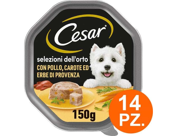 Cesar Selezioni dell'Orto Cibo per Cani con Pollo Carote - 14 Vaschette da 150g
