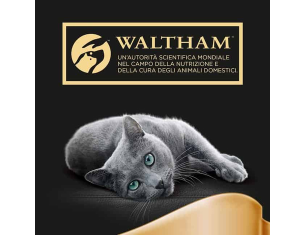 Sheba Creamy Snacks con Pollo Stick Cremosi per Gatti 11 pacchi da 4 snack...