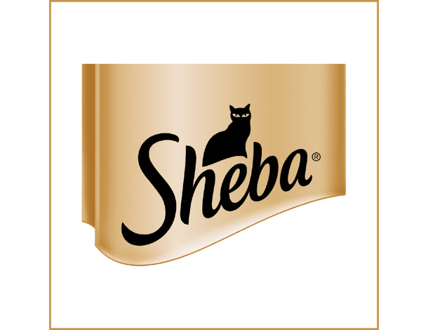 Sheba Delicatezze in Gelatina Pollo Cibo Umido Gatti Adulti Vaschette 22x85g...