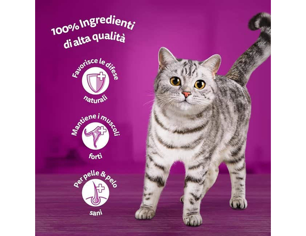 Whiskas Pure Delight Cibo Gatti Tenere Delicatezze Pollo Tacchino 52 bustine...