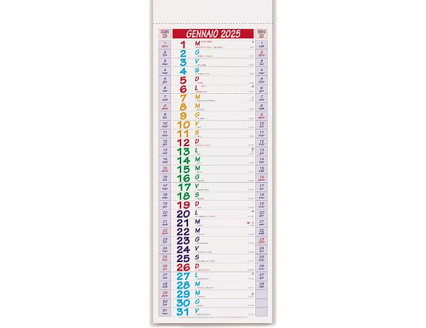 Set 12x Calendario 2025 Olandese Slim 14x47 cm, 12 Fogli Mensili, Facile da...