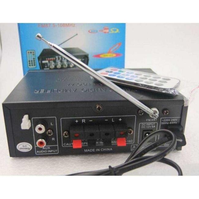 Amplificatore Stereo Microfono Due Ingressi USB Karaoke Radio FM AUX Musica...
