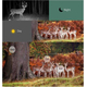 Fototrappola 12Mp 1080p 940nm Scouting Caccia Camera Fotocamera 42ir... Fototrappola 12Mp 1080p 940nm Scouting Caccia Camera Fotocamera 42ir...