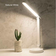 Lampada da Tavolo Scrivania Led Touch Pieghevole USB Lettura 3 Diverse...