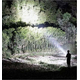 Torcia Tattica 6000K Militare a Led Ricaricabile Potente 8000 Lumen T6 Cree...