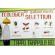 5x Tappo Universale Cattura Insetti Trappola Bio Giardino Giardinaggio...