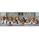 Puzzle 1000 Pezzi Beagle Cuccioli Cani Animali Cagnolini High Quality 98x33...