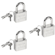 3x Lucchetto ad Arco 3 Chiavi Antiscasso Corazzato Catenaccio Acciaio 3x5 cm