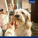 Vitakraft Beef Stick di manzo pesce alimento per cani cane 50 Bastoncini da...