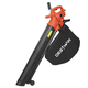 Aspirafoglie elettrico 3 in 1 DESTMAN DT-6030, 3000W, aspira-soffia-sminuzza,...